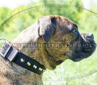 Strong Boxer Dog Collar with Buckle and Glossy Pyramids