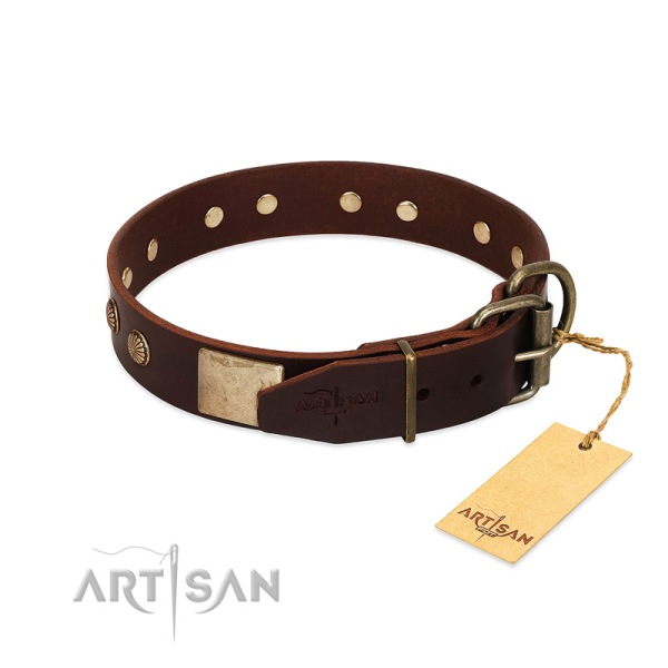 Brown Leather Dog Collar with Brass