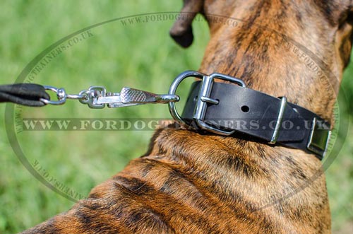 dog walking training collars for boxer dogs