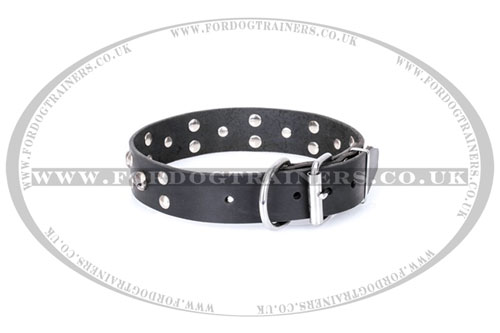 Artisan dog collar with skull