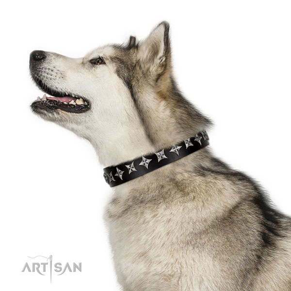 Alaskan Malamute Collars for Sale UK