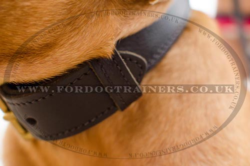 Dogue De Bordeaux Collars