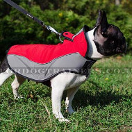 Warm Dog Harness-Vest for French Bulldog Walking in Winter