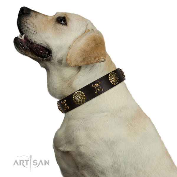 Leather Pirate Dog Collar for Golden Retriever