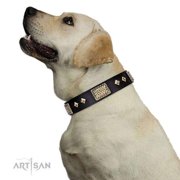 Buy Leather Dog Collar for labrador Retiriever