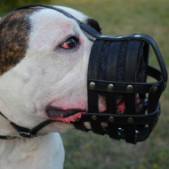 Muzzle for American Bulldog | Dog Leather Muzzle for Bulldog