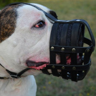 Large Dog Leather Muzzle for American Bulldog