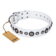 Amazing Dog Collar of White Leather "Ice Age" FDT Artisan Amazing Dog Collar of White Leather "Ice Age" FDT Artisan