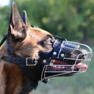 Bestseller Wire Basket Dog Muzzle for Belgian Malinois