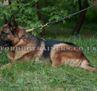 The Best Dog Leash for German Shepherd Made of Leather and Brass