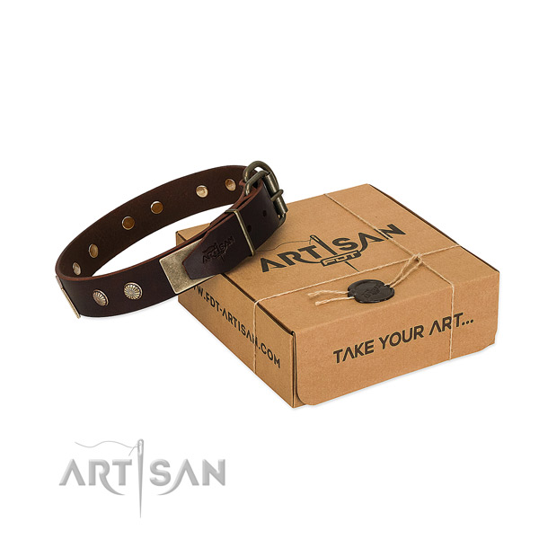 Designer Dog Collars UK