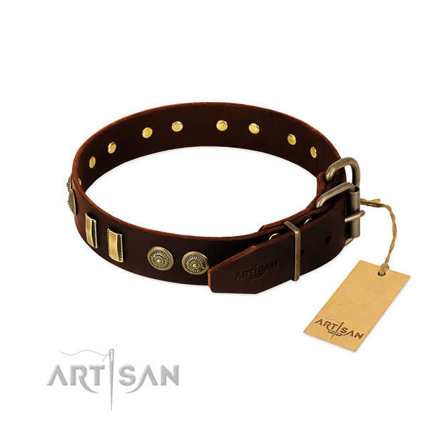 Brown Leather Collar for Dogs