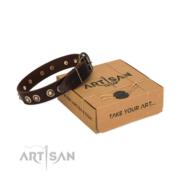 Brown Leather Dog Collar with Nameplate Gift