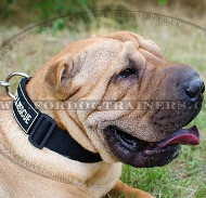 Strong Nylon Dog Collar for Chinese Shar Pei Dog Breed