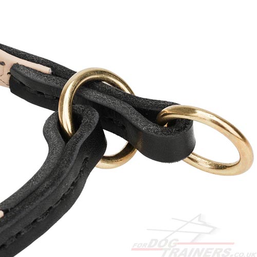 Dog Training Collars