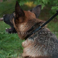 Comfy and Efficient Dog Collar and Leash Set for German Shepherd