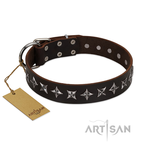 Leather Collar for Dogs for Sale UK