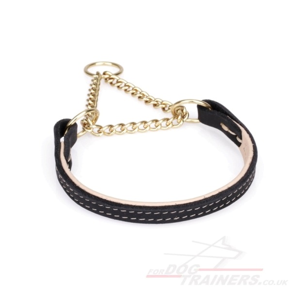 Training Dog Collar Martingale Leather