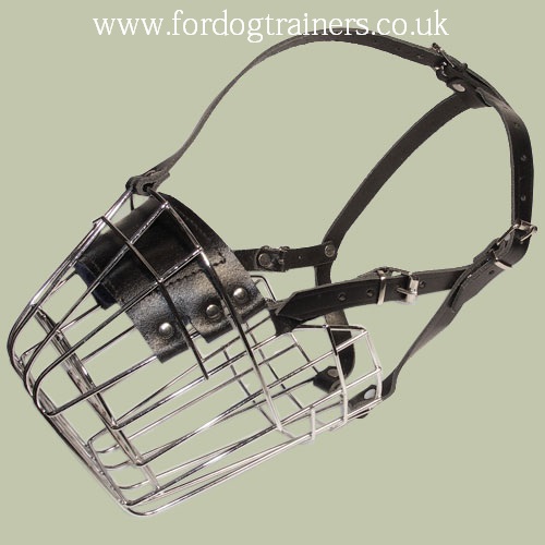 Buy Newfoundland Muzzle UK