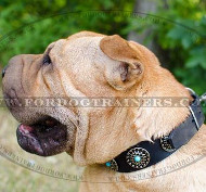 Leather Dog Collars Royal Design for Shar Pei Dogs