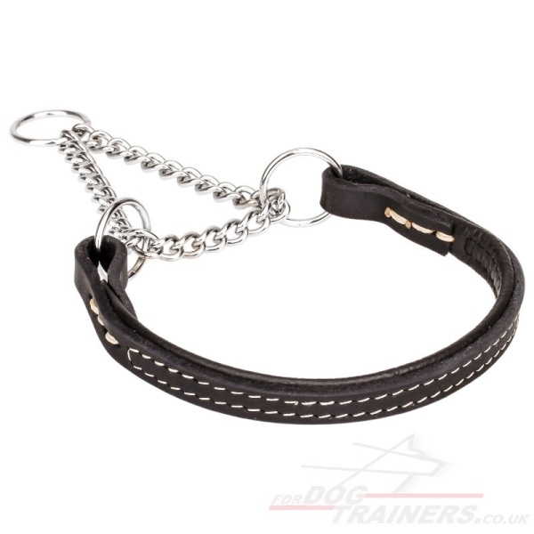 Soft Padded Dog Collar for Training