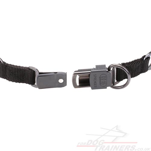 Prong Dog Collar for Dog Training