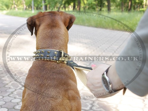 Walking Dog Lead Handle