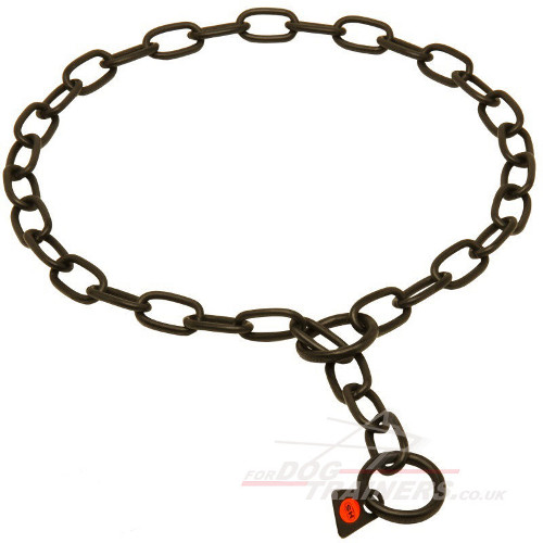 stainless steel chain dog collar UK
