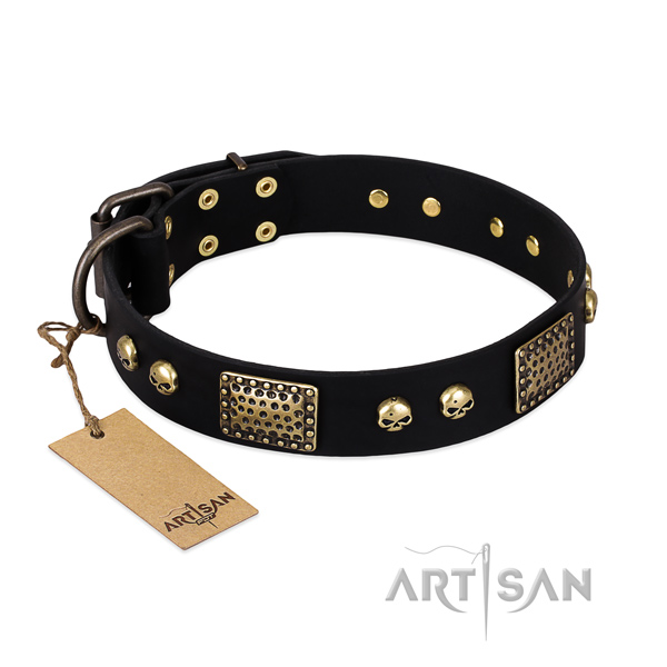 Black Leather Dog Collar with Skulls