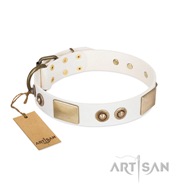 Nice White and Gold Dog Collar with Brass Hardware FDT Artisan Nice White and Gold Dog Collar with Brass Hardware FDT Artisan