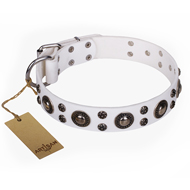 Extraordinary Leather Dog Collar "White Jewel" FDT Artisan Extraordinary Leather Dog Collar "White Jewel" FDT Artisan