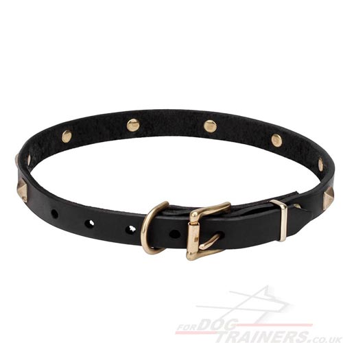 Handmade Dog Collars UK