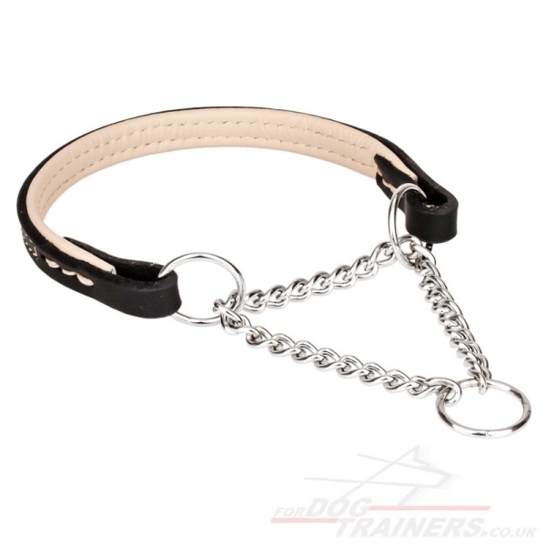 Chain Martingale Dog Collar