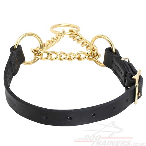 Best Dog Training Collar