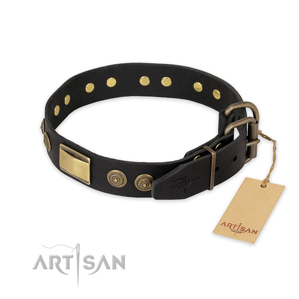 Buy Designer Dog Collar with Buckle