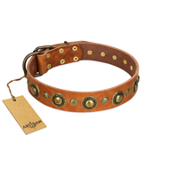 Noble Style Studded Tan Leather Dog Collar by FDT Artisan Noble Style Studded Tan Leather Dog Collar by FDT Artisan