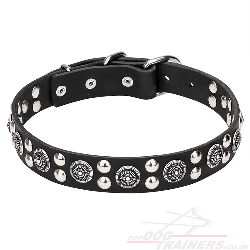 Nobby Dog Collar with Studs | Classy Dog Collars - £38.01