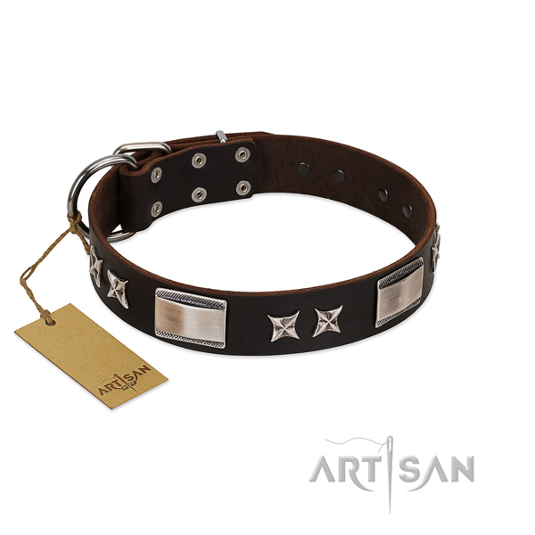 Dark Brown Leather Dog Collar Studded