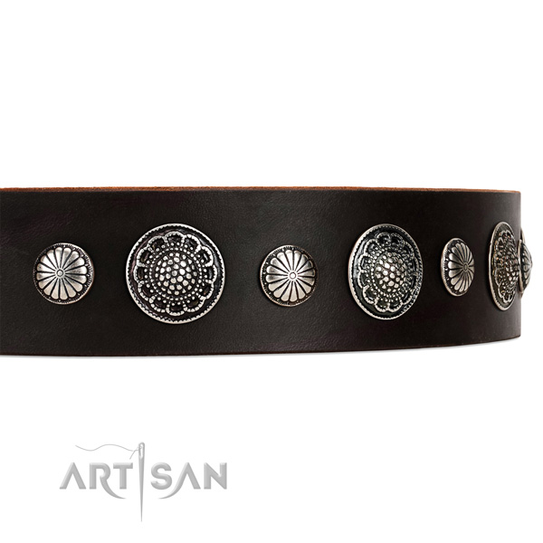 Chokolate Brown Dog Collar with Studs