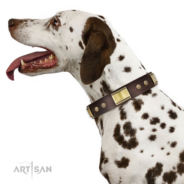 Buy Dalmatian Collars UK