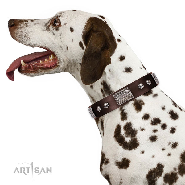 Dalmatian Dog Collars Brown Leather
