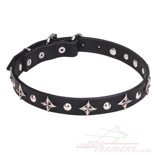 Designer Dog Collar Leather