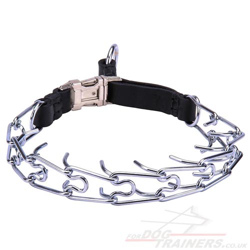 prong dog collar with buckle