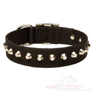 Nylon Collar for Dogs With Shiny Pyramids