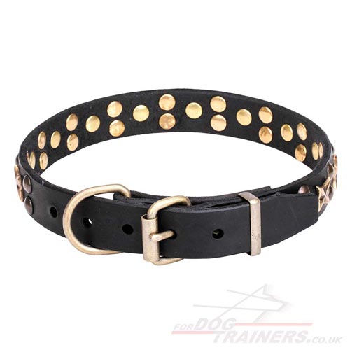 leather dog collar