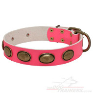 Collars for Dogs Gorgeous Style New Pink Leather Design Collars for Dogs Gorgeous Style New Pink Leather Design