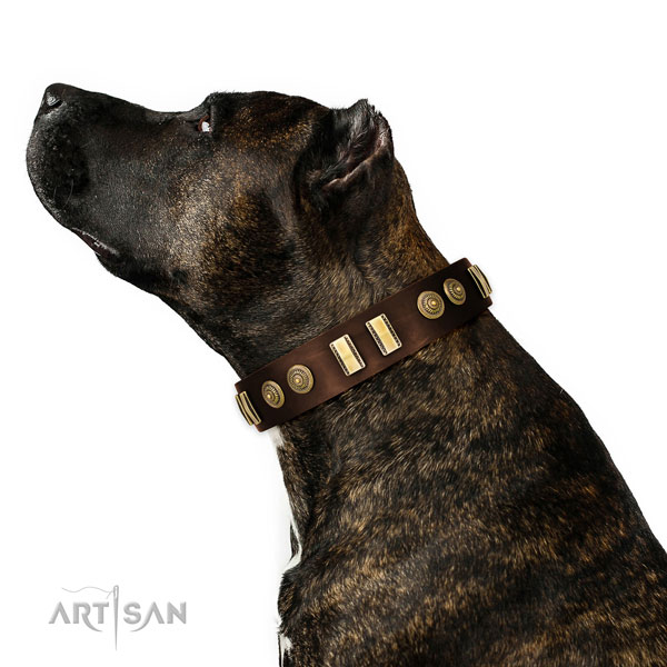 Handmade Dog Collars UK