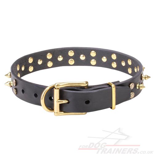 Beautiful Dog Collars