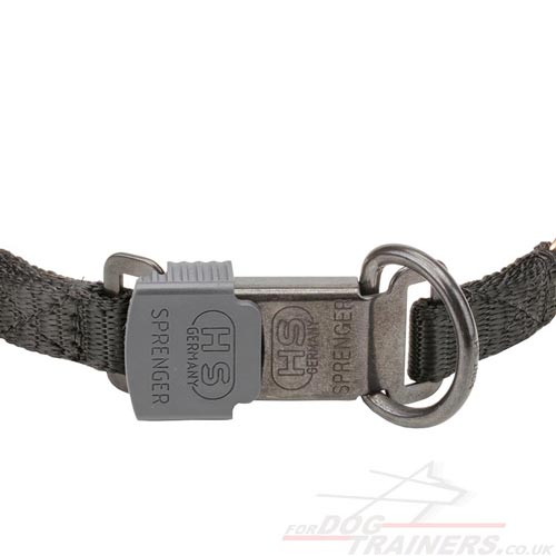 curogan dog collar with buckle