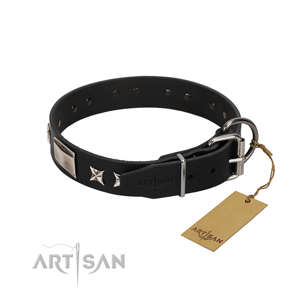 D Ring Dog Collar with Buckle